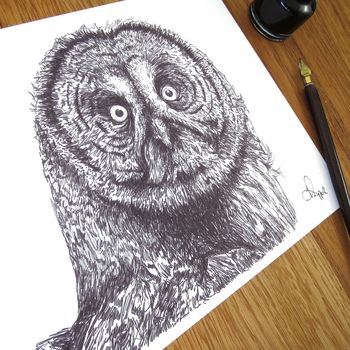 Great Grey Owl Pen And Ink Illustration Framed Print, 3 of 3