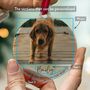 Personalised Pet Loss Dog Memorial Gift Ornament, thumbnail 4 of 8