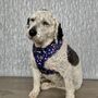 Navy And Pink Floral Dog Harness, thumbnail 5 of 7