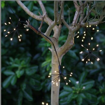 Starburst Indoor/Outdoor LED Light Chain In Black, 4 of 5