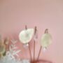 Decorative Brass Plant Stakes, thumbnail 2 of 7