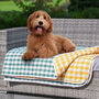 Reversible Padded Gingham Cotton Dog Blanket, thumbnail 1 of 9