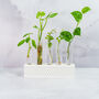 Propagation Station | White, thumbnail 1 of 4