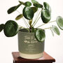 Personalised Retirement Indoor Plant Pot, thumbnail 1 of 6