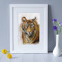 Tiger Wildlife Art Print, thumbnail 1 of 5