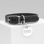 Personalised Classic Leather Dog Collar With Tag, thumbnail 4 of 12