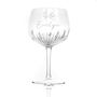 Personalised Crystal Icon Gin Goblet, thumbnail 4 of 6
