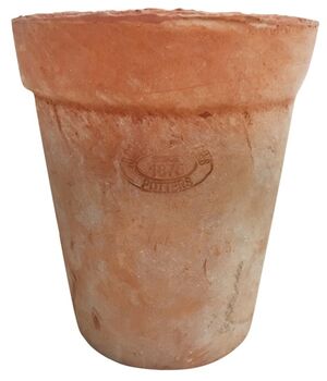 Aged Terracotta Plant Pot Handmade Garden Planter Decor Tom Tom, 4 of 4