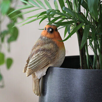 Set Of Two Robin Pot Hangers, 3 of 3