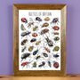 Beetles Of Britain Wildlife Print, thumbnail 1 of 9