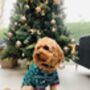 Dog Christmas Pyjamas, thumbnail 3 of 11