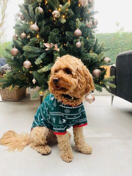 Dog Christmas Pyjamas, 3 of 11