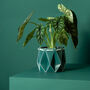 Origami Self Watering Eco Plant Pot: 18cm | Dark Teal, thumbnail 2 of 7