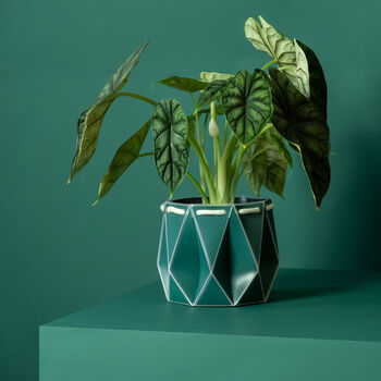 Origami Self Watering Eco Plant Pot: 18cm | Dark Teal, 2 of 7