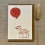 Personalised English Bull Terrier Birthday Card, thumbnail 7 of 8