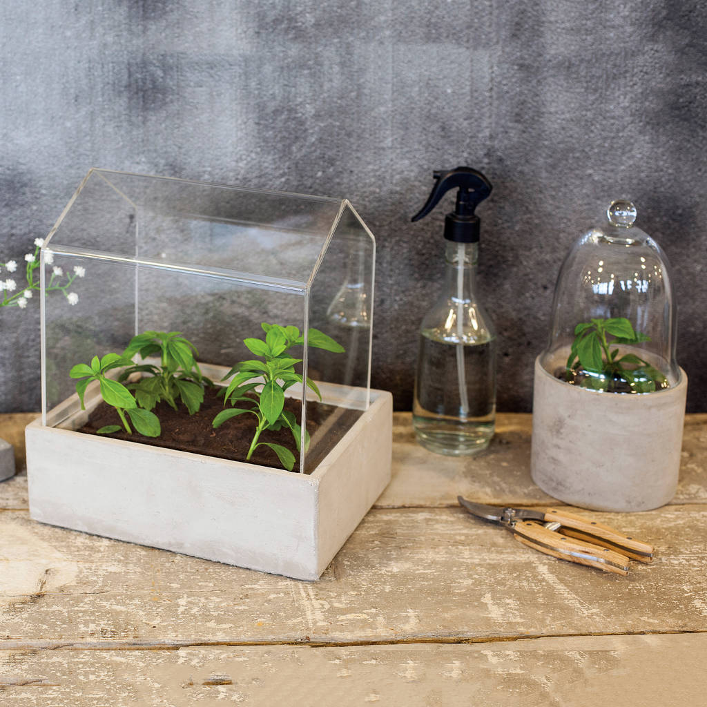 mini green house