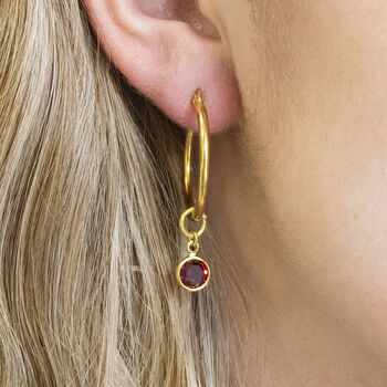 Birthstone Charm Hoop Earrings, 2 of 10
