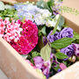 The Summer Flower Arranging Craft Box, thumbnail 1 of 4