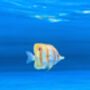 Underwater Seascape, thumbnail 6 of 8