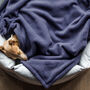 Luxury Double Fleece Pet Blanket, thumbnail 1 of 12