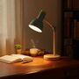 Mint Green Scandinavian Desk Lamp | Adjustable Light, thumbnail 1 of 7