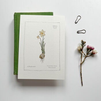 Spring Bulb Botanical Postcard Set, 3 of 10