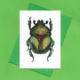 Hand Drawn Green Beetle Illustrated Blank Greeting Card, thumbnail 3 of 10