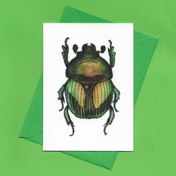Hand Drawn Green Beetle Illustrated Blank Greeting Card, 3 of 10