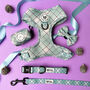 Dog Lead In Sage Green Check Padded Safety Lead, thumbnail 3 of 4