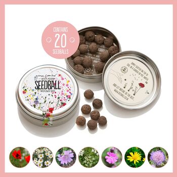 Artist's Meadow Wildflower Seed Ball Mix Tin, 5 of 10