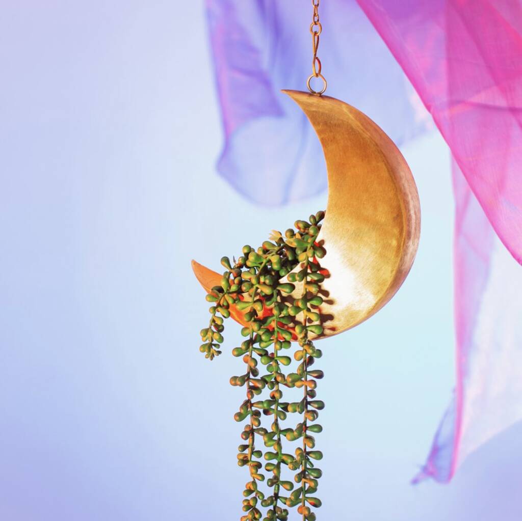 Celestial Moon Hanging Planter, 1 of 5