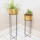 Copper Plant Stand Two Sizes By Za Za Homes | notonthehighstreet.com