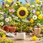 Handmade Felt Sunny Sunflower Standing Decoration, thumbnail 1 of 9