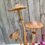 Wooden Mushroom Statue Teak Root Toadstool Nature Gift, thumbnail 5 of 10