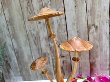 Wooden Mushroom Statue Teak Root Toadstool Nature Gift, 5 of 10