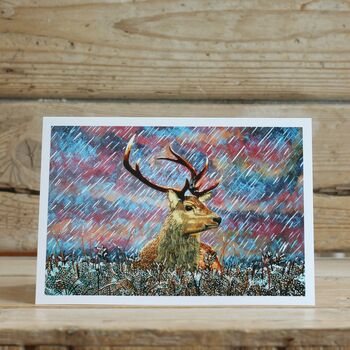 Red Stag In Heather Card, 2 of 2