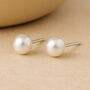 Sterling Silver White Freshwater Pearl Stud Earrings, thumbnail 1 of 7
