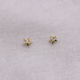 9ct Solid Gold Dainty Shine Bright Star Stud Earrings, thumbnail 1 of 6