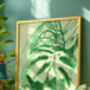 Monstera Plant Illustrated Print, thumbnail 2 of 5