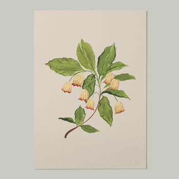 Bell Flower Art Print, 3 of 3