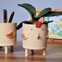 Personalised Planter Pot Chicken, thumbnail 3 of 6