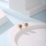 Sterling Silver Amethyst Purple Cz Halo Stud Earrings, thumbnail 4 of 12