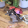 Build Your Own Personalised Ladybird, thumbnail 4 of 12