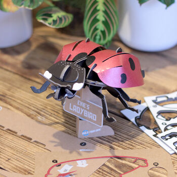 Build Your Own Personalised Ladybird Kit, 4 of 12