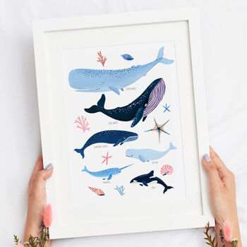 Whale Species Art Print, 3 of 7