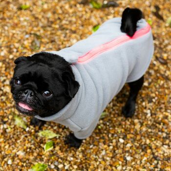 Pug Polartec Water Resistant Dog Coat, 5 of 9