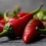 Chilli Plants Hot Burrito Three X 9cm Pots, thumbnail 1 of 5