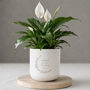 Personalised Engraved Plant Pot And Plant Wedding Gift, thumbnail 2 of 9
