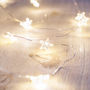 Warm White Star Micro Fairy Lights, thumbnail 1 of 5