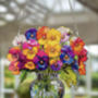 Everlasting Pansies In Vase, thumbnail 3 of 4